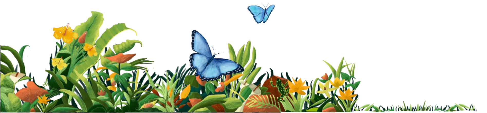 Footer Image